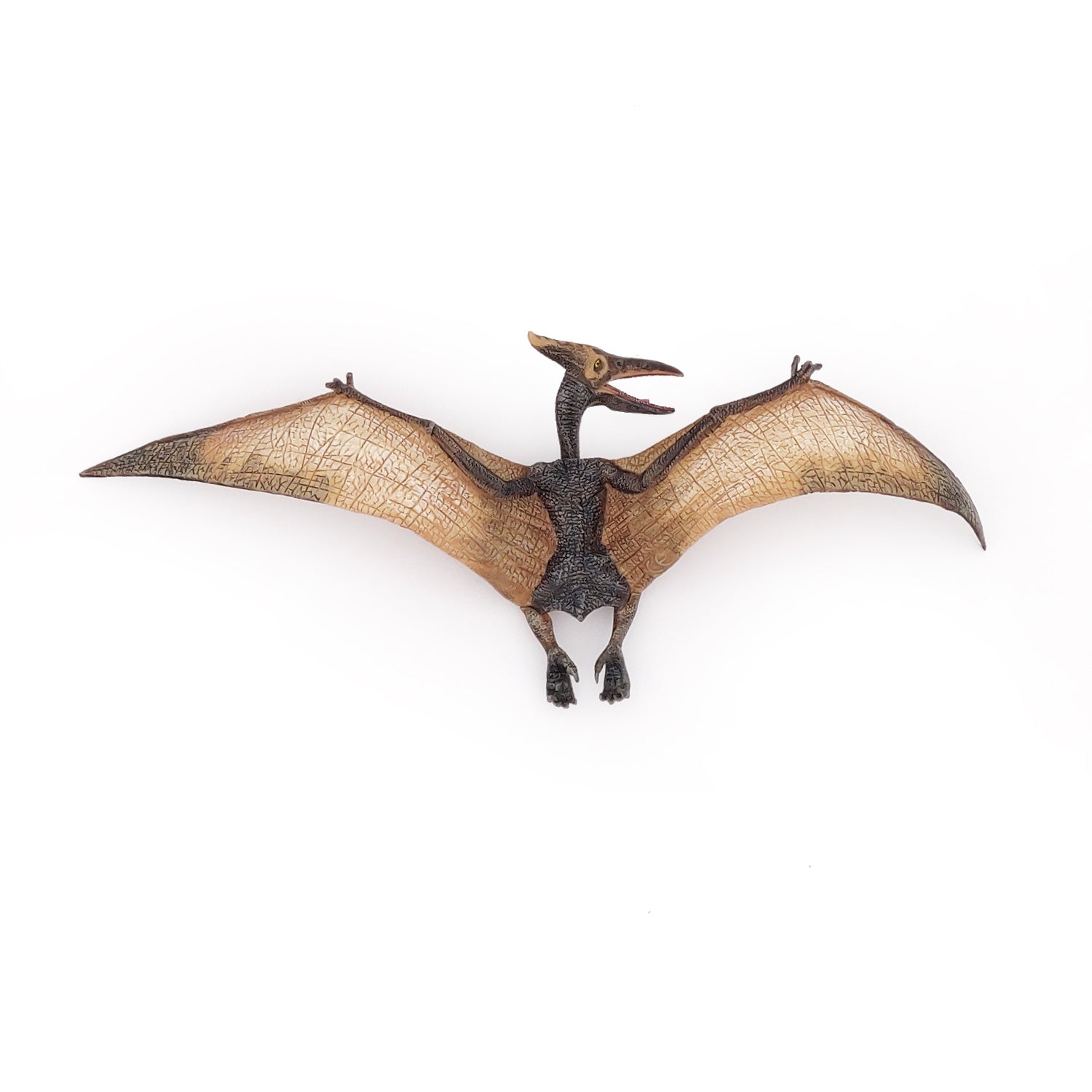 papo-dinosaurs-pteranodon-figur-flugsaurier image 6