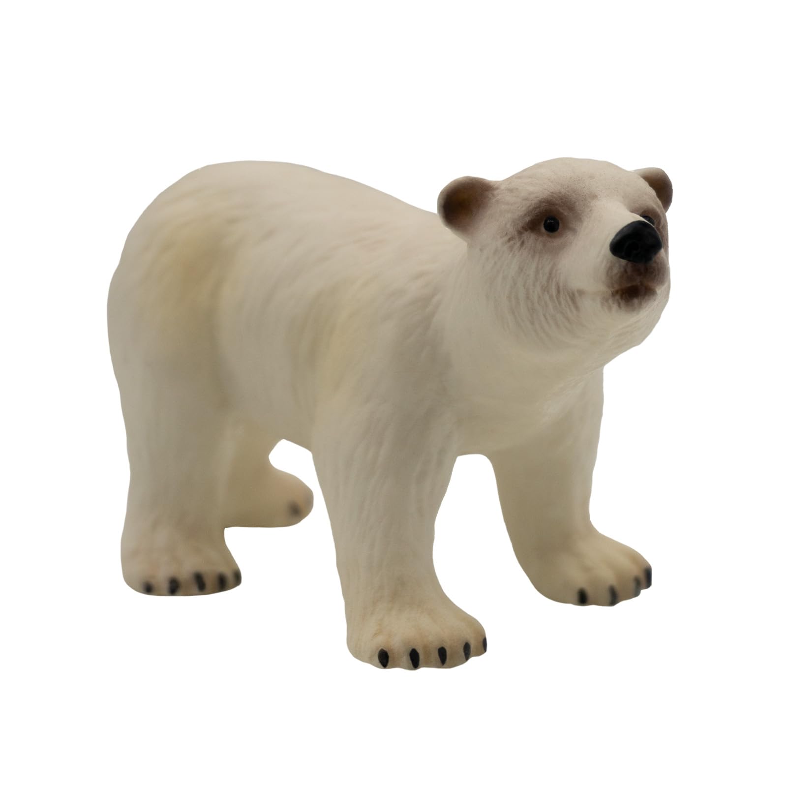 bullyland-marine-world-63538-eisb-r-junges-tierfigur-8-5-cm-pvc-frei image 1