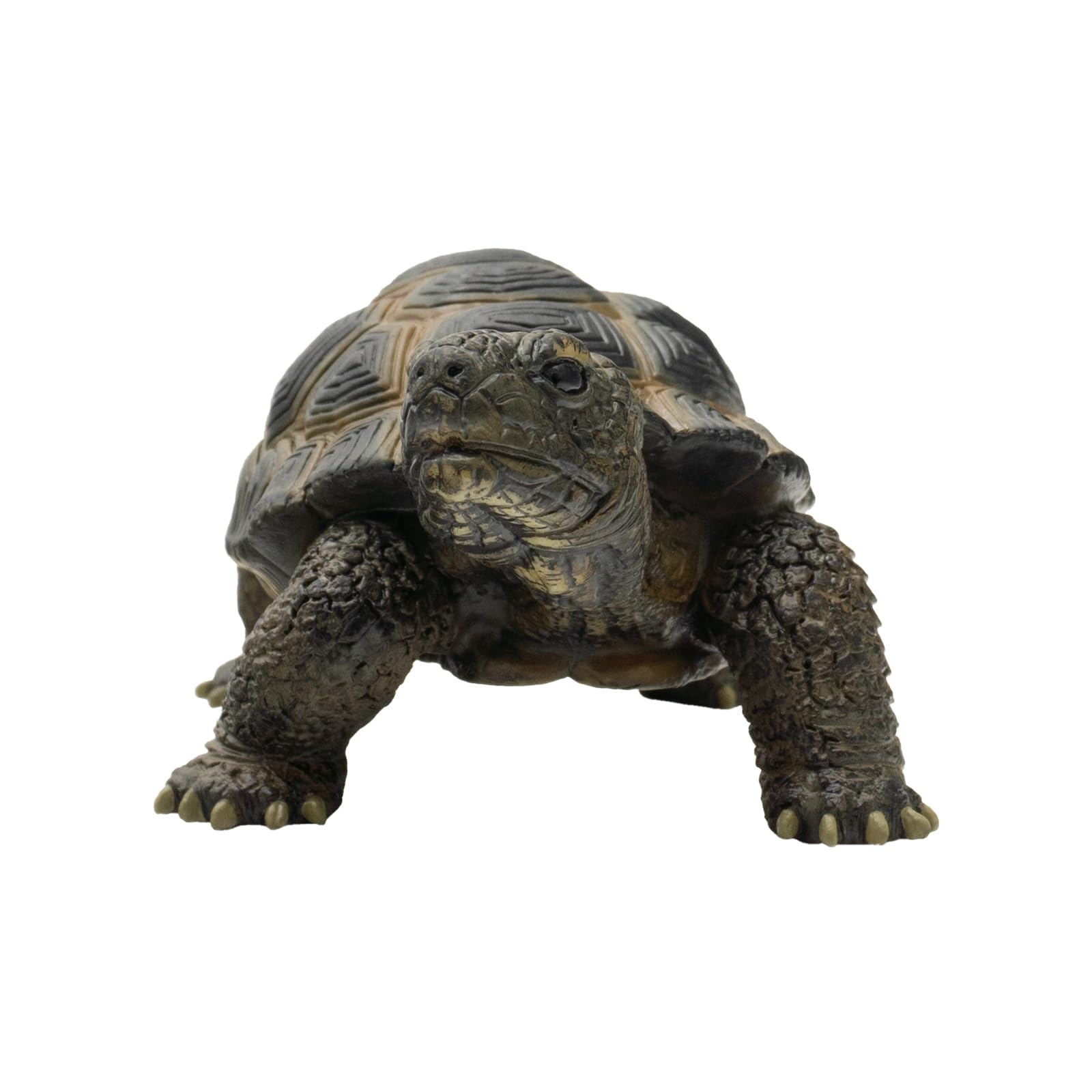bullyland-crawlers-63553-landschildkr-te-tierfigur-13-6-cm image 3