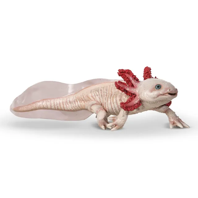papo-marine-world-axolotl-figur-spielfigur-s-wassertier image 1