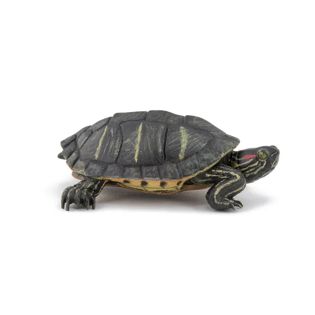 papo-wildlife-florida-schildkr-te-figur-reptil image 1