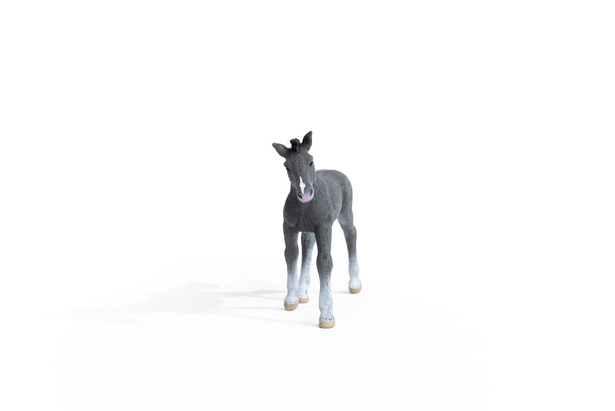 schleich-horse-club-trakehner-fohlen-pferdefigur-schimmel image 5
