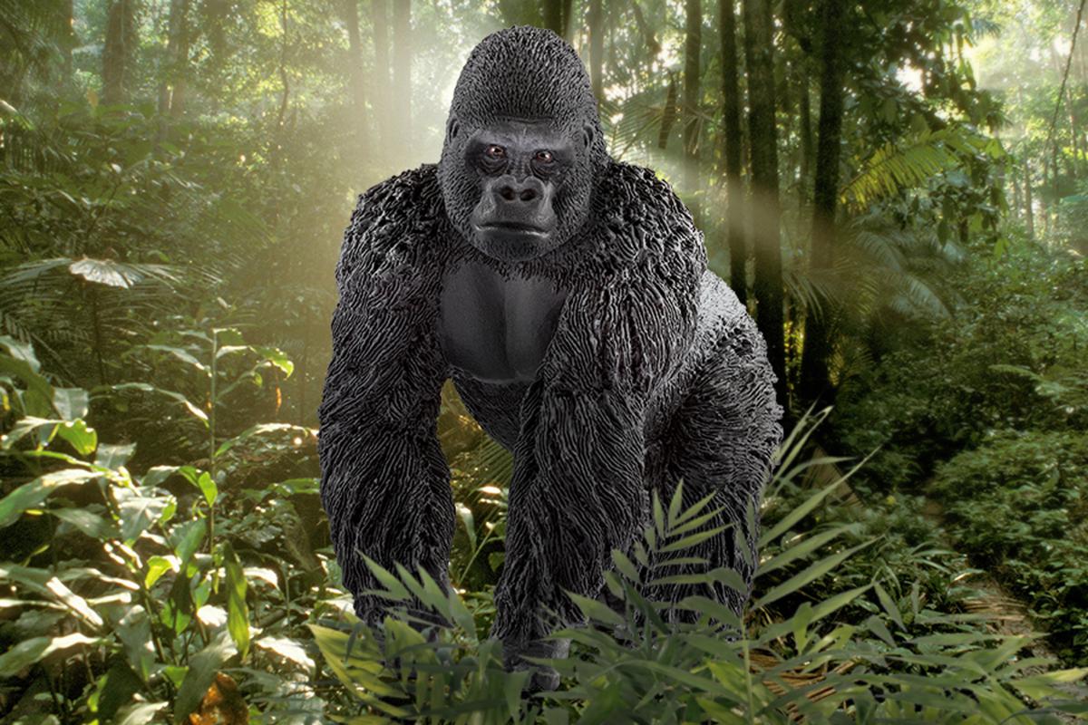 schleich-wild-life-gorilla-m-nnchen-tierfigur-14770 image 5