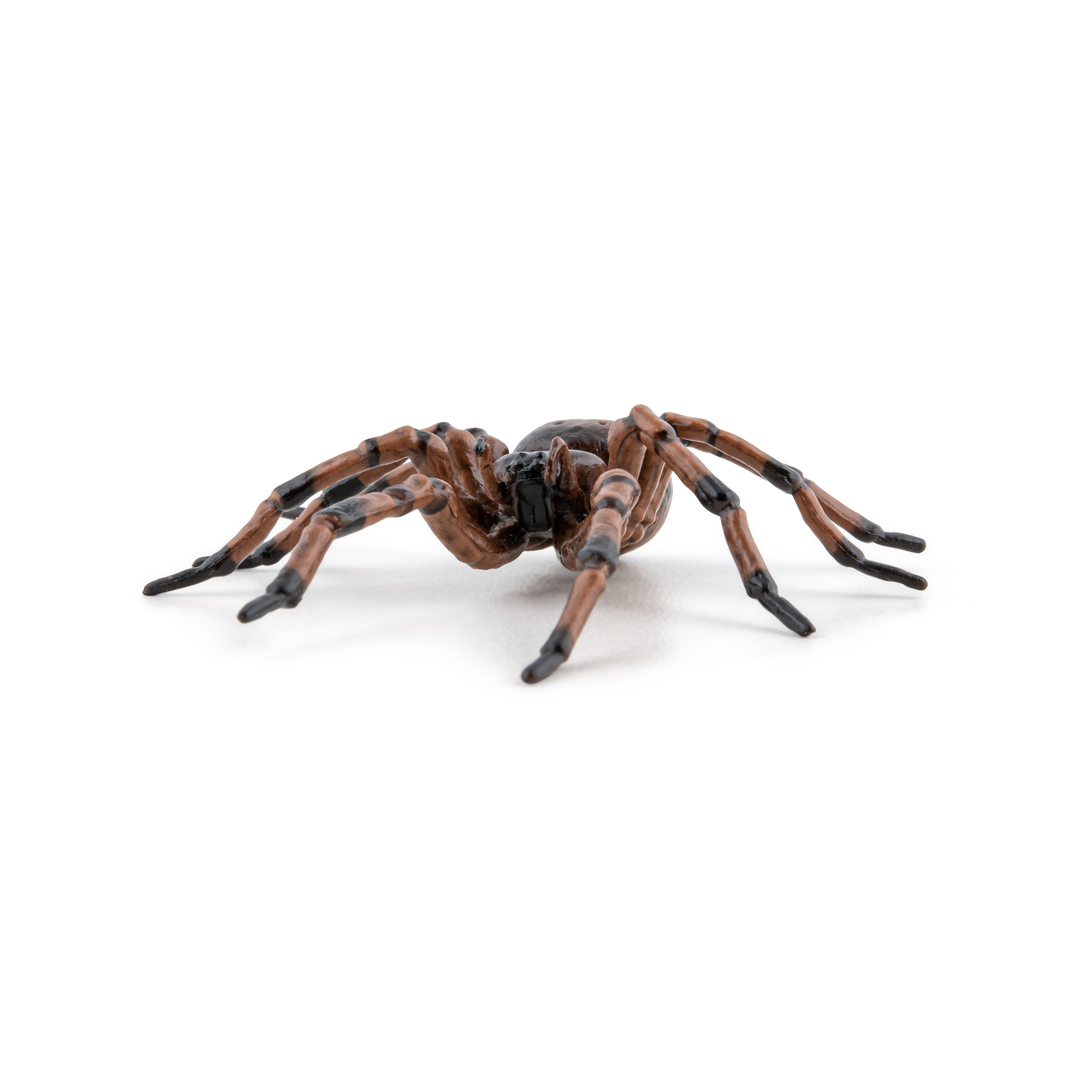papo-garden-animals-gew-hnliche-spinnenfigur-hausspinne image 3