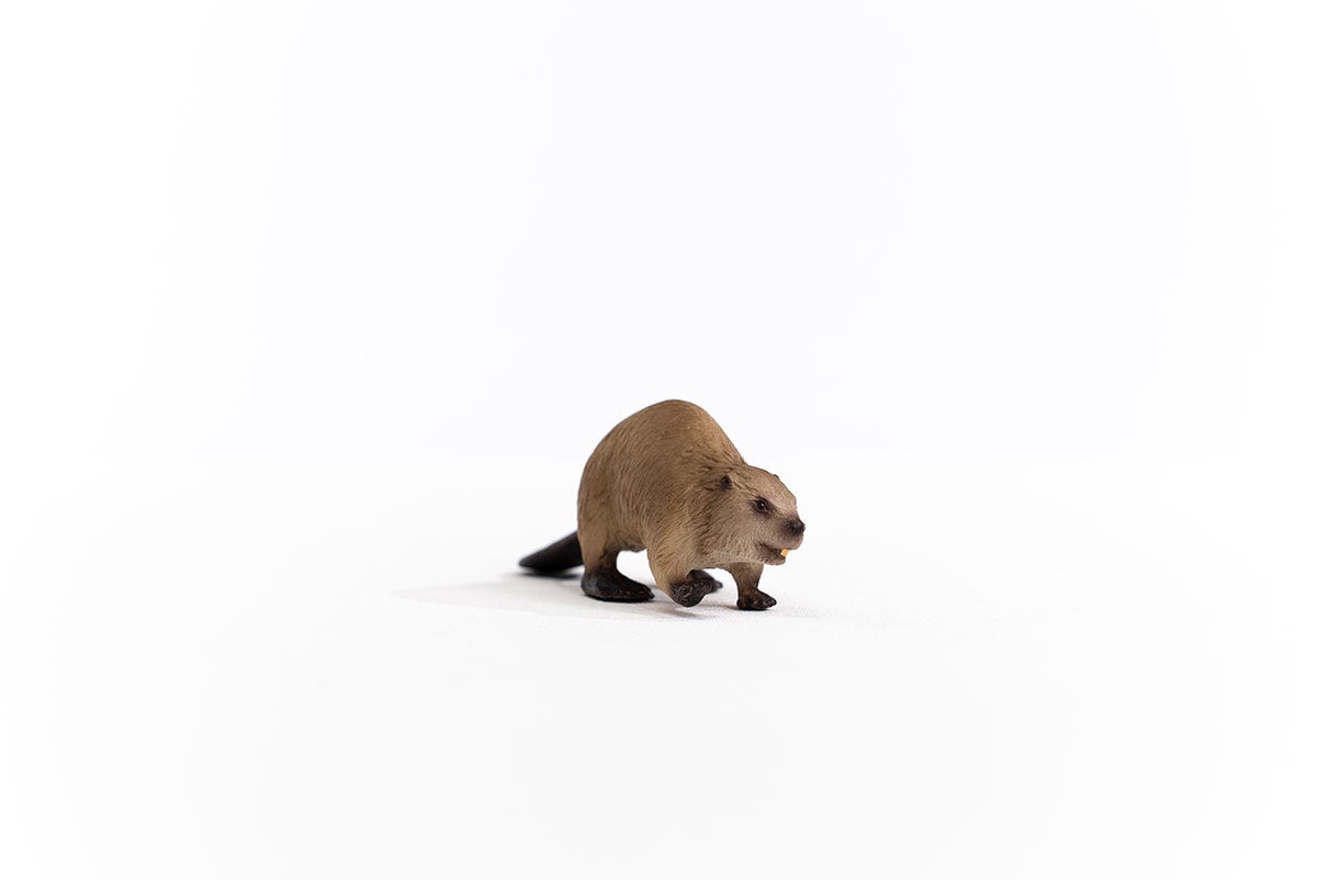 schleich-wild-life-biber-14855-tierfigur-waldtier image 5