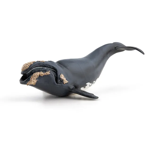 papo-marine-world-glattwal-figur-meerestier image 1
