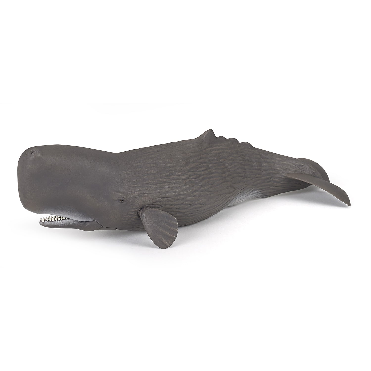 papo-marine-world-pottwal-figur-meerestier-zahnwal image 1