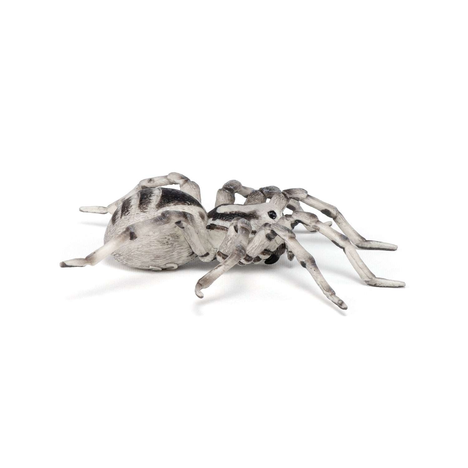 papo-wildlife-tarantel-figur-vogelspinne-spinnentier image 5
