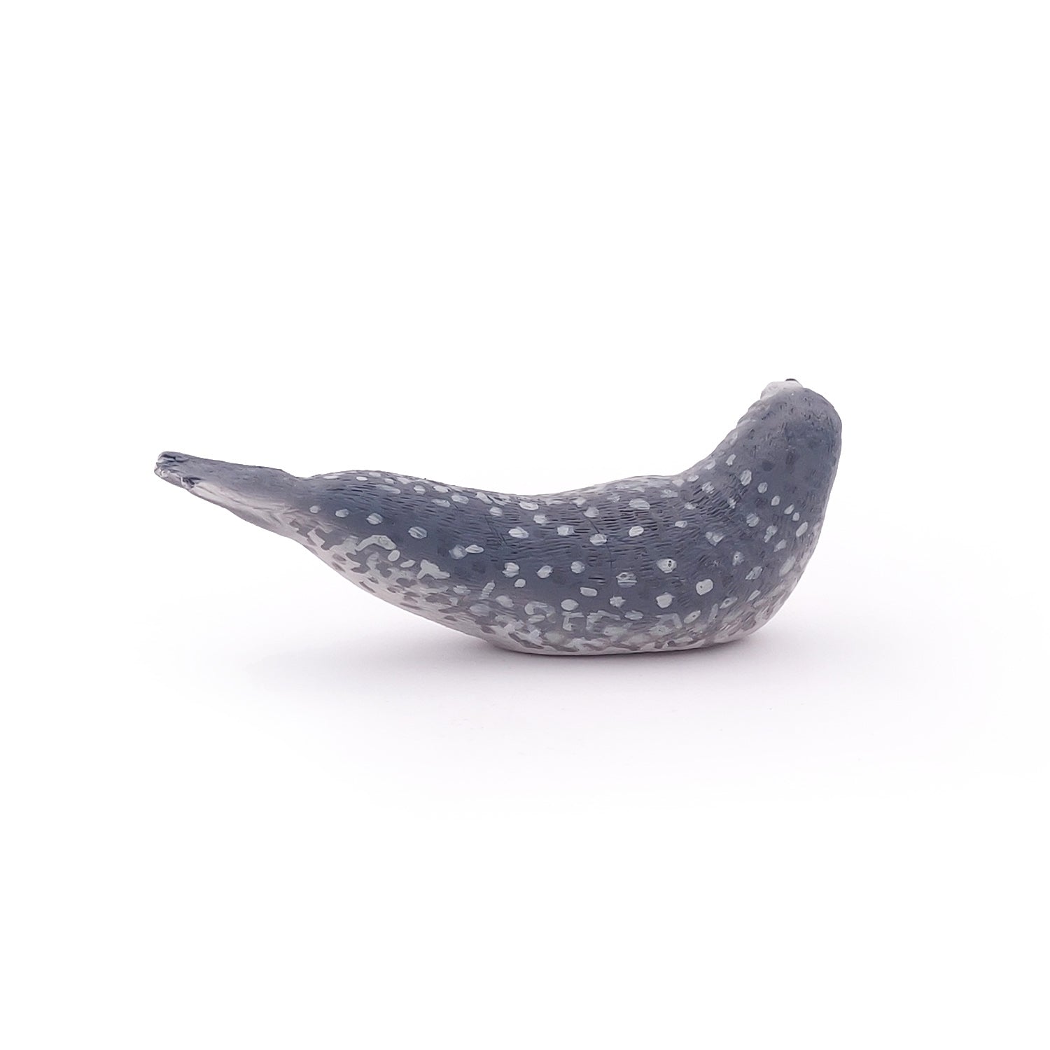 papo-marine-world-robbe-meerestier-figur image 7