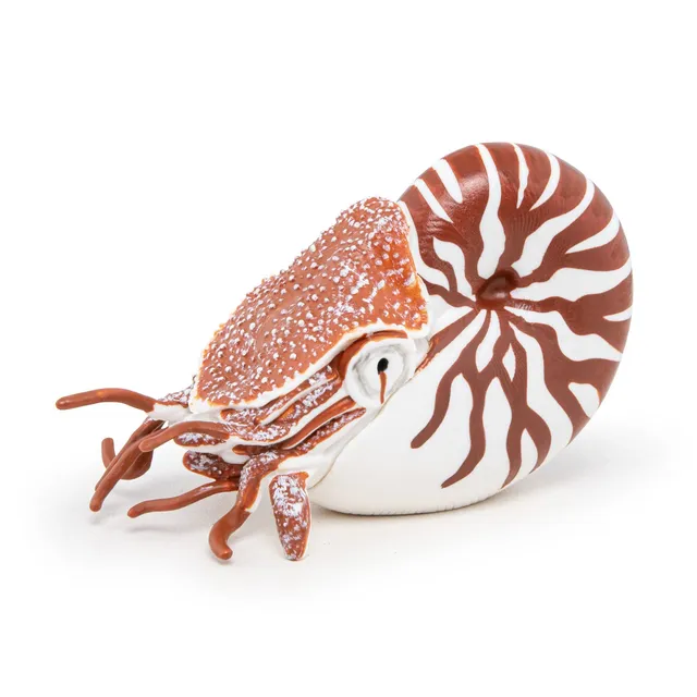 papo-marine-world-nautilus-meerestier-figur-spiralgeh-use image 1